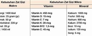 Berapa Banyak Kalori Yang Dibutuhkan Tubuh Dalam Sehari