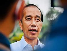 Sebelum Jadi Presiden Jokowi Pernah Menjadi